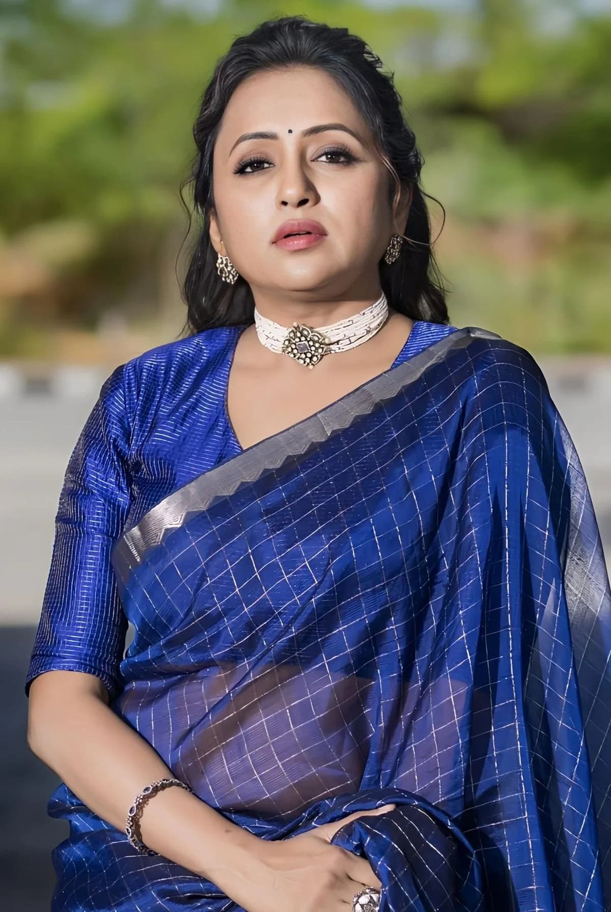 Silk Cotton Sarees — Tamil Nadu saree model, SRI SAI RAGHAVENDRA TEX